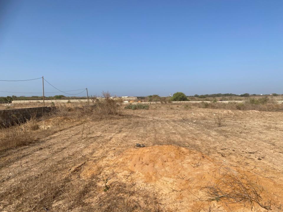Terrain à vendre22